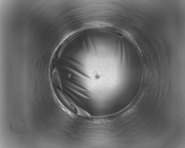 X0000061730843200512161620