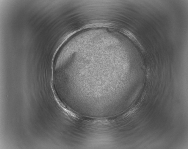 X0000061730844200512161620