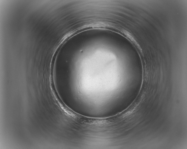 X0000061730845200512161620