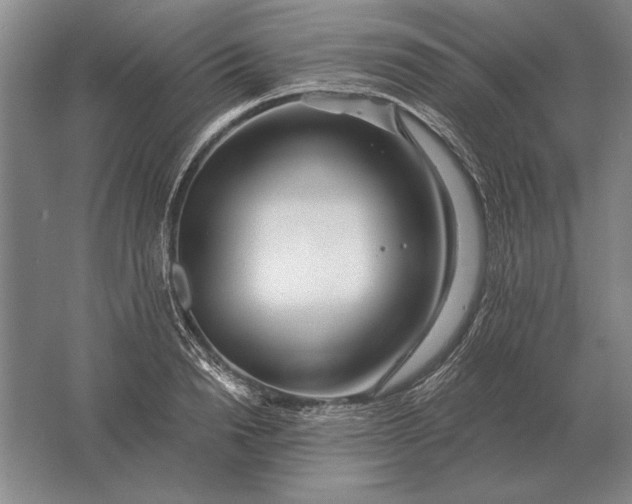 X0000061730846200512161620