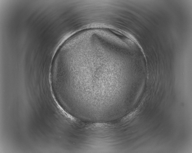 X0000061730847200512161620