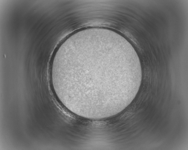 X0000061730848200512161620