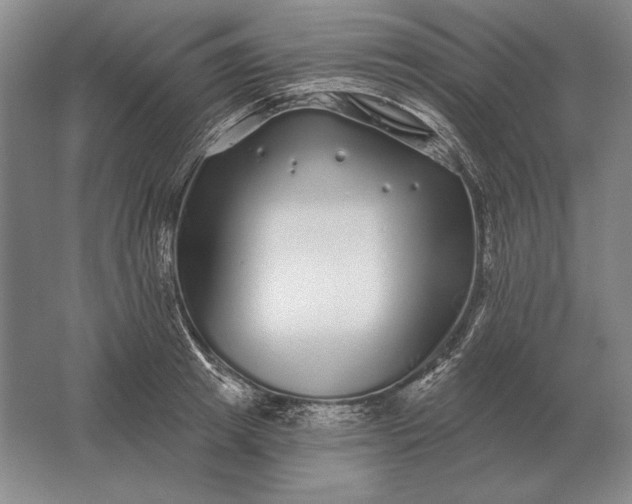 X0000061730849200512161620