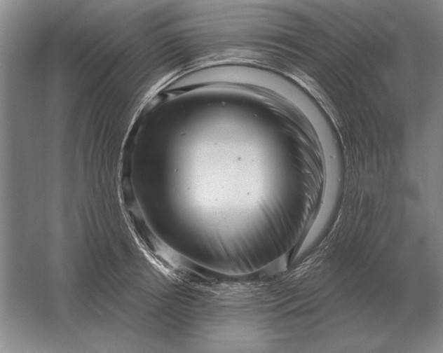 X0000061730850200512161620