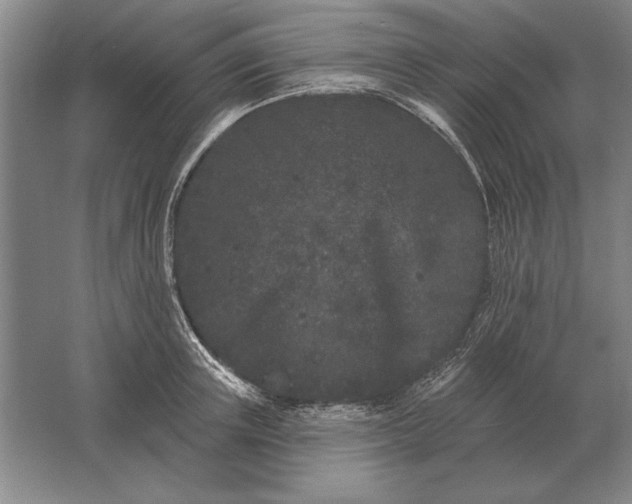 X0000061730851200512161620