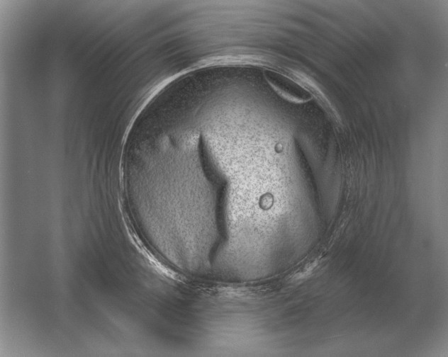 X0000061730852200512161620