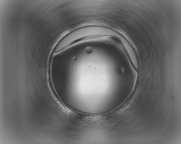 X0000061730853200512161620