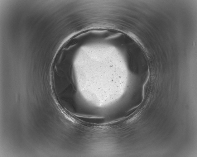 X0000061730854200512161620