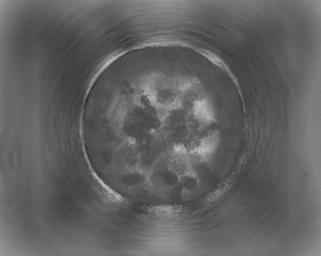 X0000061730855200512161620