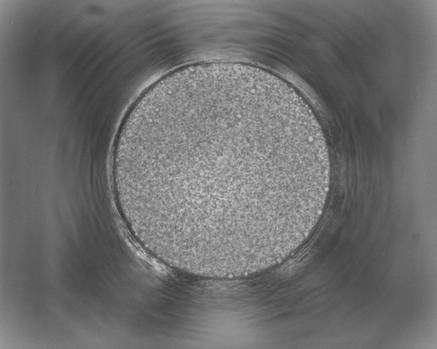 X0000061730856200512161620