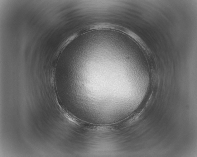 X0000061730857200512161620