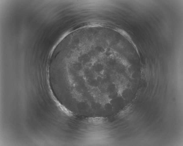 X0000061730859200512161620