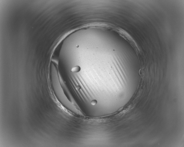 X0000061730860200512161620