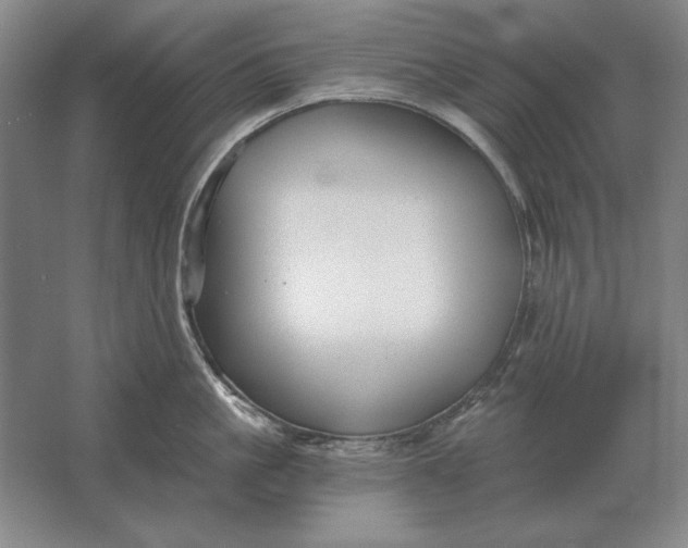 X0000061730861200512161620