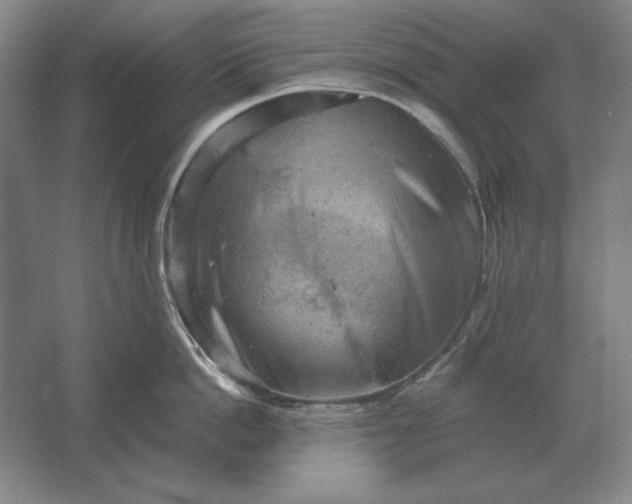 X0000061730862200512161620