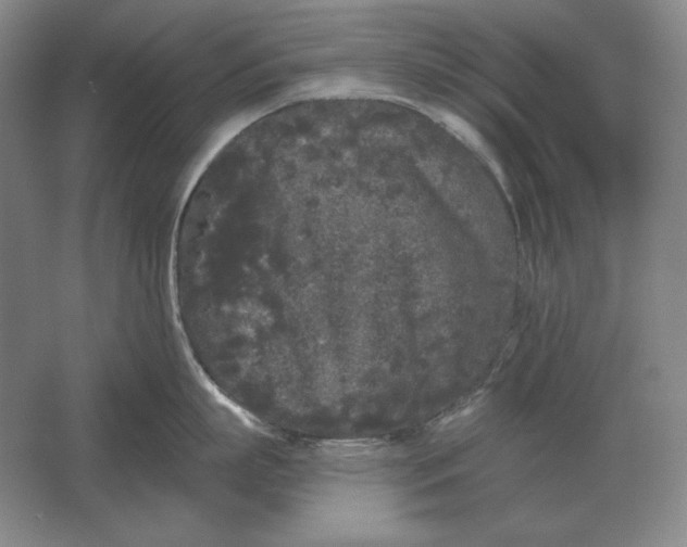 X0000061730863200512161620