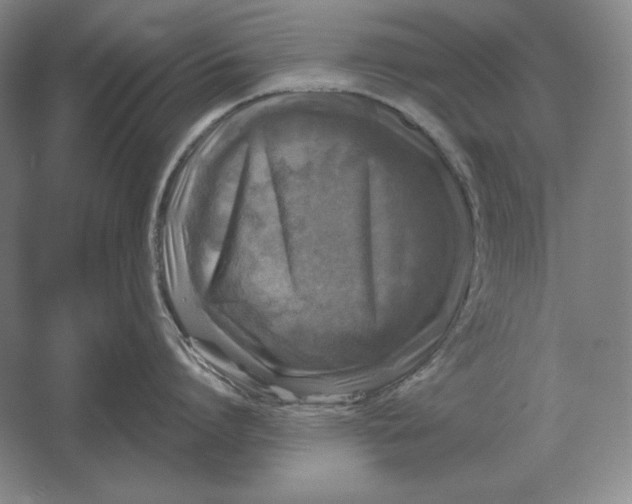 X0000061730864200512161620