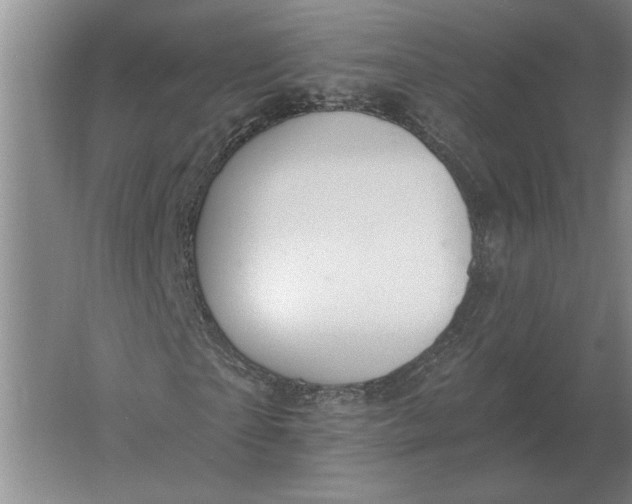 X0000061730865200512161620