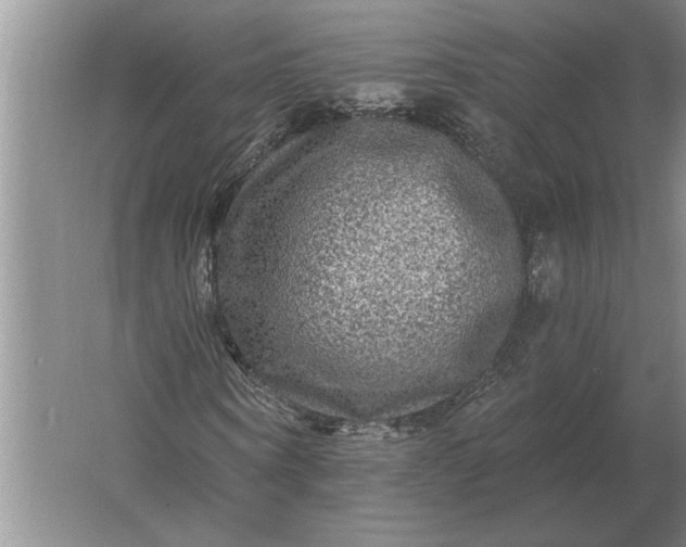 X0000061730866200512161620