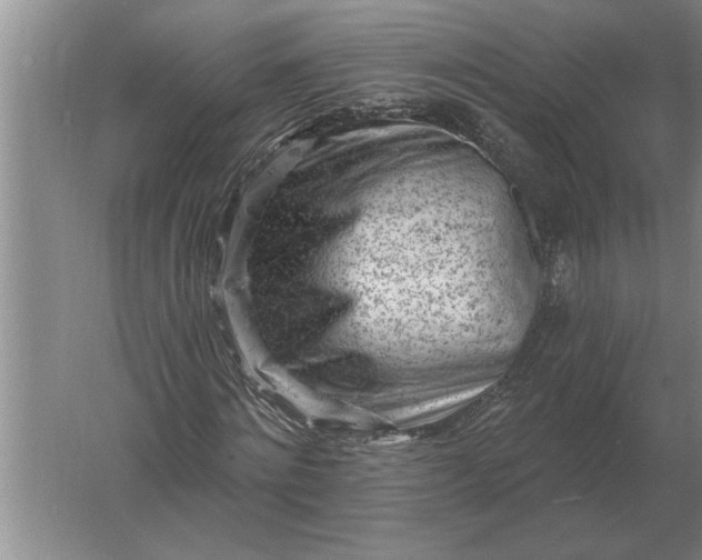 X0000061730868200512161620