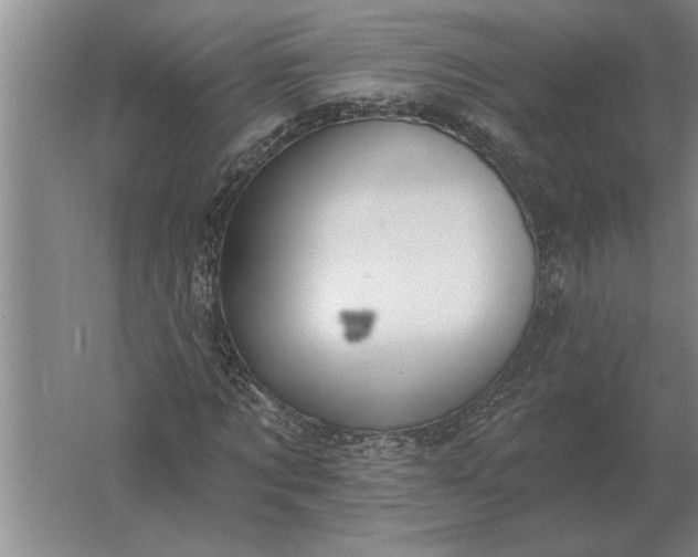 X0000061730869200512161619