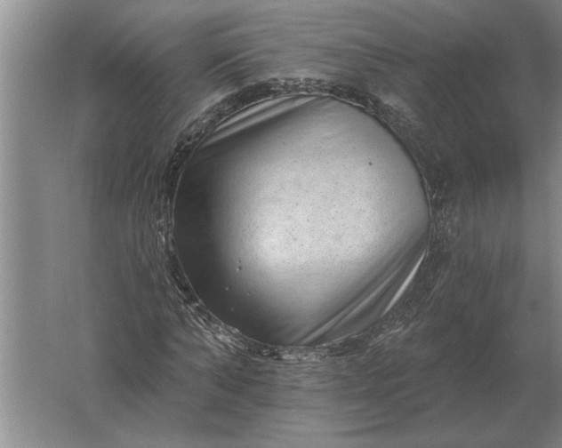 X0000061730870200512161619