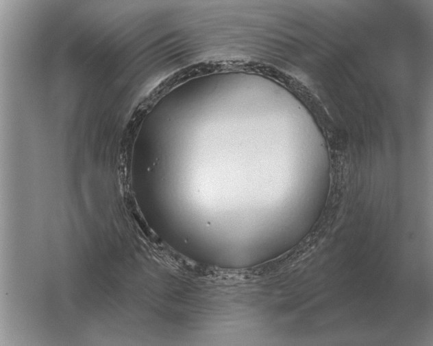 X0000061730871200512161619