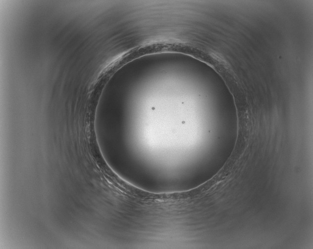 X0000061730872200512161619