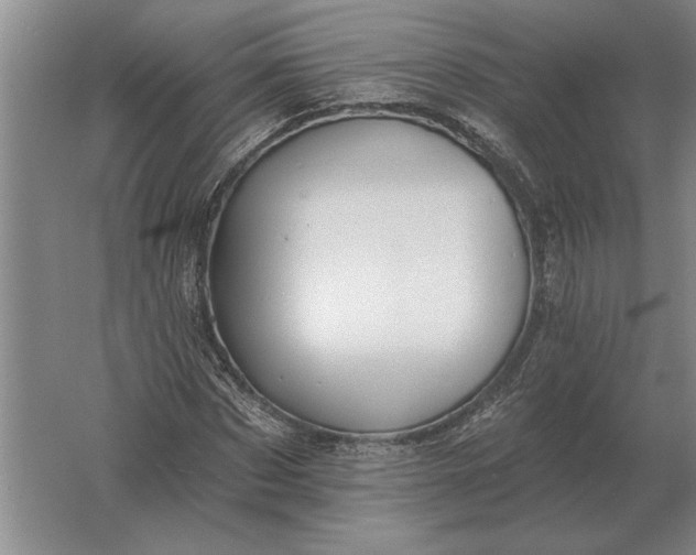 X0000061730873200512161619