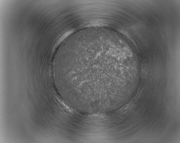 X0000061730874200512161619