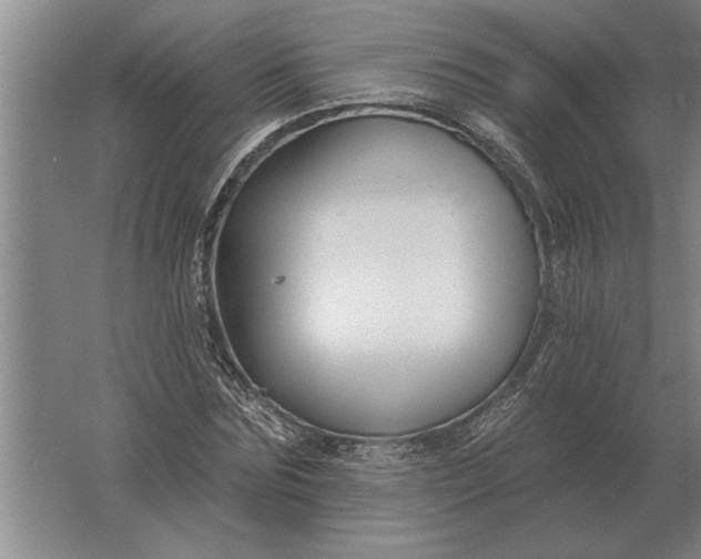 X0000061730875200512161619