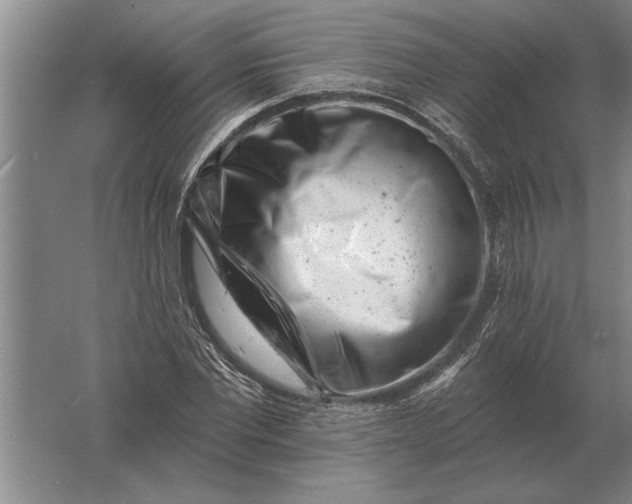 X0000061730877200512161619