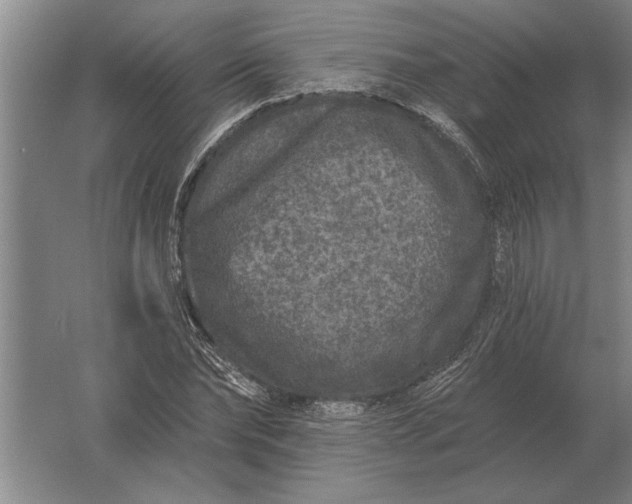 X0000061730878200512161619