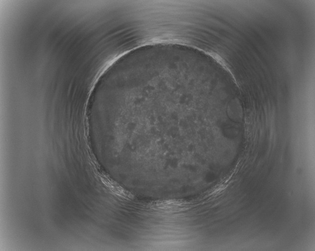 X0000061730879200512161619