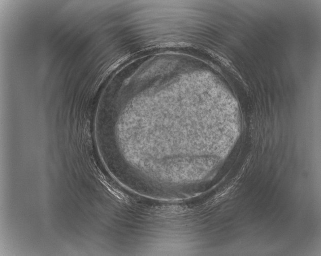 X0000061730881200512161619