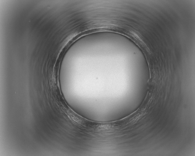 X0000061730883200512161619