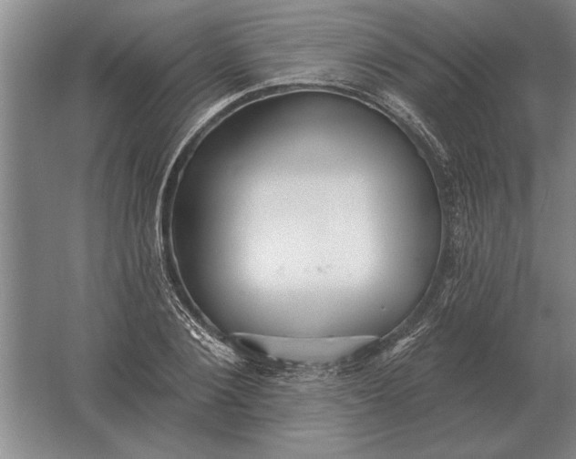 X0000061730884200512161619