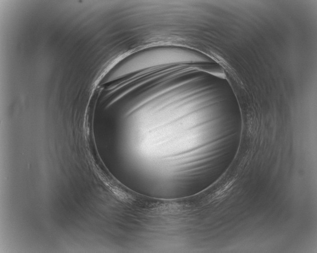 X0000061730885200512161619