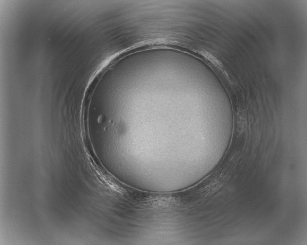 X0000061730886200512161619