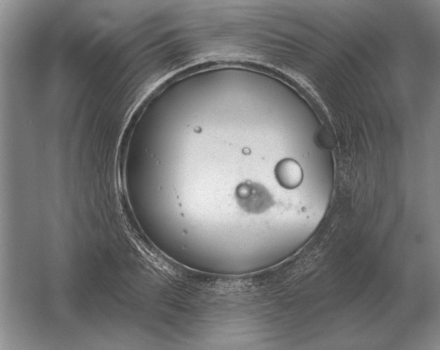 X0000061730887200512161619