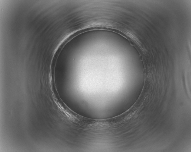 X0000061730888200512161619