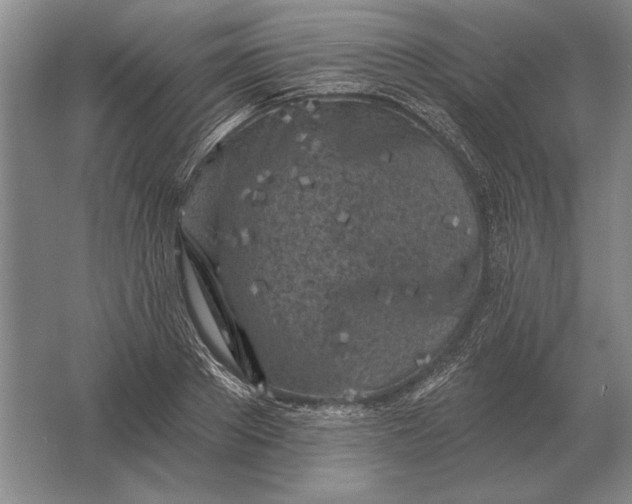 X0000061730889200512161619