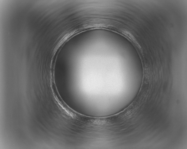 X0000061730890200512161619