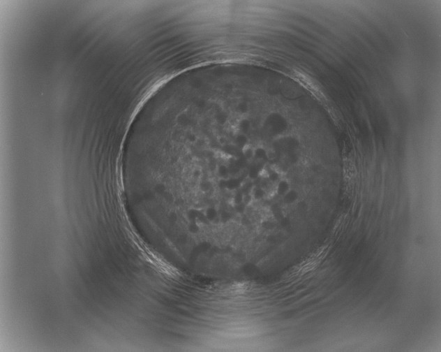 X0000061730891200512161619