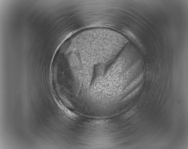 X0000061730892200512161619