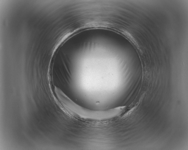 X0000061730893200512161619