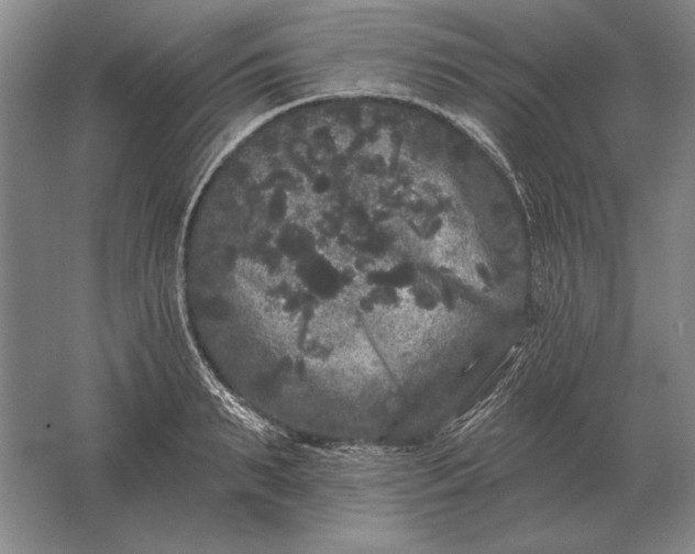 X0000061730895200512161619