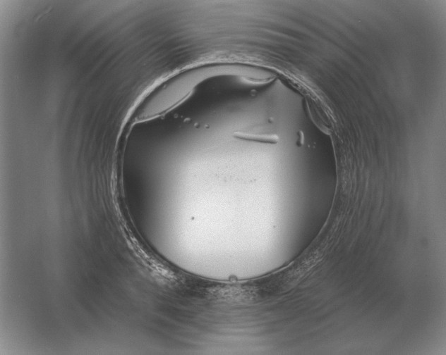 X0000061730896200512161619