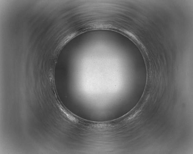 X0000061730897200512161619