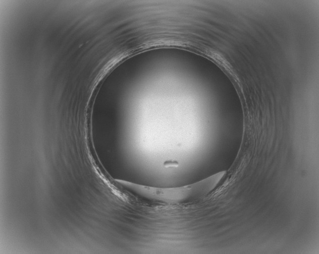 X0000061730898200512161619